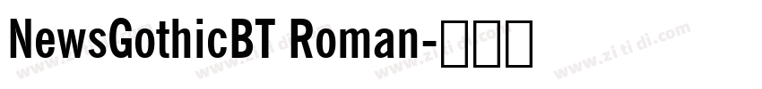 NewsGothicBT Roman字体转换